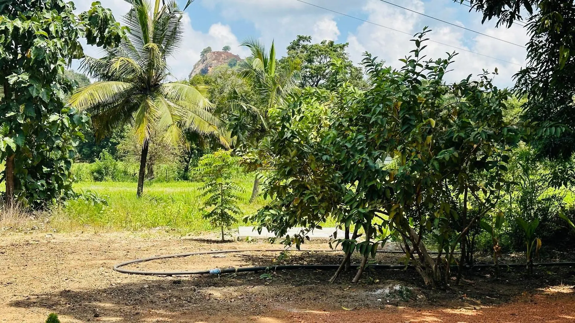 סיגירייה Little Haven Cottage סרי לנקה
